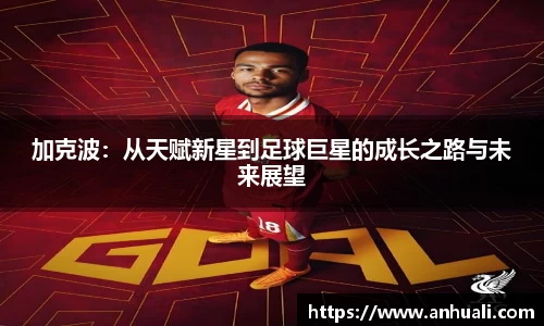 365WM完美体育官网