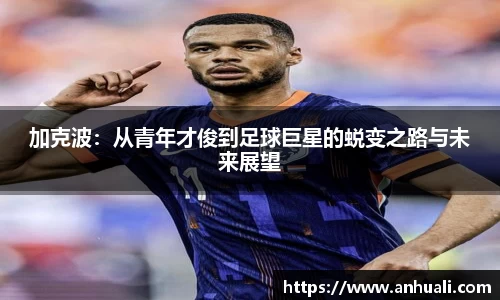 365WM完美体育官网