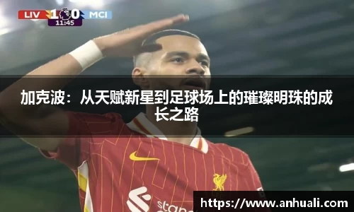 365WM完美体育官方app