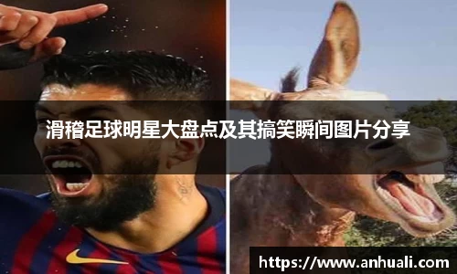 365WM完美体育官网