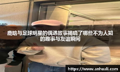 365WM完美体育官方app